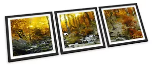 SET STAMPE ARTISTICHE CON CORNICE Sunset Autumn Forest Creek River quadro poster quadrato - Foto 1 di 5