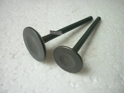 Válvula de admisión escape Kawasaki KLR KLX 250 BJ250 ESTRELLA KLF300 2 piezas Foto 1 de 4