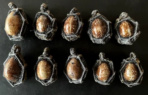 1 Perle Thaï Cauris Bia Gae Kae takrut perle en pendentif amulette Thaïlande T6 - Imagen 1 de 7
