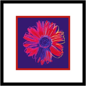 Andy Warhol Poster Kunstdruck Bild im Alu Rahmen Daisy 50x50cm Germanposters Neu - Bild 1 von 1