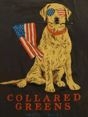 Camiseta con cuello verde hecha en Estados Unidos talla XXL bandera americana perro. Foto 1 de 4