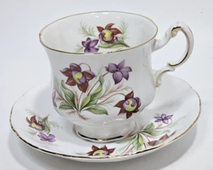 Paragon Canadian Provincial Flowers KRUG PFLANZE Teetasse und Untertasse England EUC - Bild 1 von 5