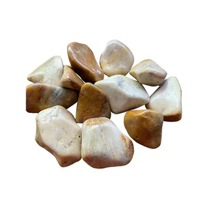 Six Agatized Coral Agate Tumbled Stones 40-50mm Reiki Healing Crystals Heart - Picture 1 of 3