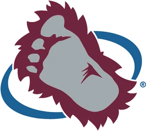 Colorado Avalanche 4 Zoll NHL Farbe gestanzter Aufkleber Sticker * kostenloser Versand - Bild 1 von 1