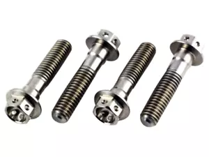 Racebolt Titanium Race Drilled Hex Front Axle Pinch Bolts M6x30 - Foto 1 di 5