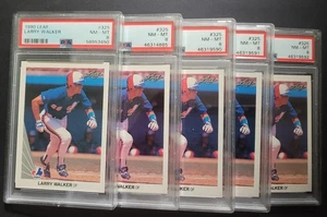 Larry Walker 1990 Leaf Rookie Card #325 RC Graded Nmt/Mint PSA 8 (Lot of 5) - Picture 1 of 1