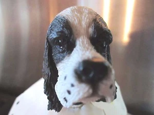 COCKER SPAINIEL BLK WHT INTERCHANGEABLE HEAD SEE ALL BREEDS BODIES @ EBAY STORE - Picture 1 of 3