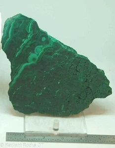 Chatoyant Congo Malachite lapidary slab 13.6 oz (385 grams) - Picture 1 of 8