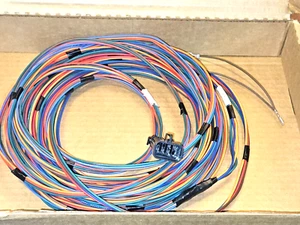 ONAN 50' Gas OR LP ReMOTE HARNESS With 8-PIN PLUG for start Panel 50 footer - Bild 1 von 5