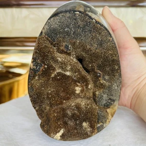Natürlicher Drache Septarier Geode Ei Quarz Kristall Berg Reiki Heilung 3719G - Bild 1 von 9