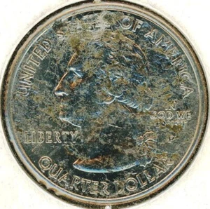 2001-P NEW YORK STATE QUARTER STRUCK-THROUGH MINT ERROR #25801 - Picture 1 of 3