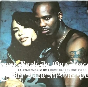 AALIYAH DMX PROMO CD COME BACK IN ONE PIECE BLACKGROUND RAP HIPHOP SOUL lp 12" - Picture 1 of 13