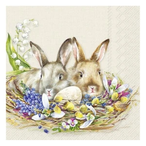 Cuddly Bunnies Easter IHR Paper Table Napkins 33 cm square 3 ply lunch napkins - Picture 1 of 1