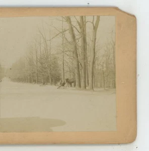 Druid Hill Park Baltimore Maryland MD Winter Stereoansicht - Bild 1 von 3