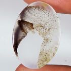 19.30 CT 18x25x4 mm Natural Scenic Dendritic Agate Oval Cabochon Gemstone KT-424