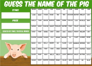 GUESS THE NAME OF THE PIG SCRATCHCARD 100 Player Squares Game Charity Fundraiser - Picture 1 of 1