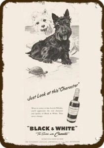 1955 BLACK & WHITE WHISKY Westie Scotty Dog Vnt-Lk DECORATIVE REPLICA METAL SIGN - Picture 1 of 1