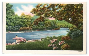 Paar auf einem Felsen im Fluss im Frühling Asheville Postkarte Co. Postkarte - Bild 1 von 2