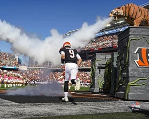Joe Burrow Cincinnati Bengals Unsigned Pre-Game Entrance Photo - Picture 1 of 1