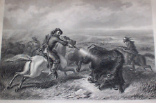 1870 Buffalo Hunting ; American West Bison Shooting Revolver Long Gun Indian