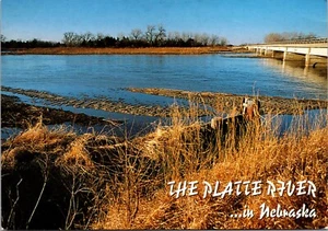 El río Platte con puente en el fondo NEBRASKA POSTAL CONTINENTAL D13 - Imagen 1 de 2