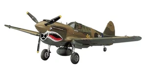 Hasegawa 1/48 scale US Army P-40E Warhawk fighter plane plastic model - Picture 1 of 5