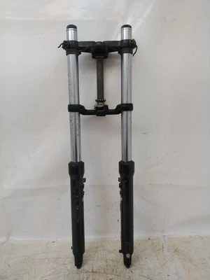 COMPLETE FRONT FORKS FOR 1984 HONDA CBX 750F RC17 (e51408) - Изображение 1 из 4