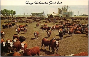 Vintage NEBRASKA Postcard "Huge Nebraska Feedlot" Stockyard Scene / Dated 1984 - Picture 1 of 2