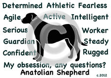 Anatolian Shepherd Dog My Obsession, Questions? T-shirt Choice size color