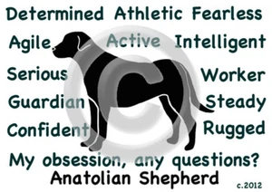 Anatolian Shepherd Dog My Obsession, Any Questions? T-shirt Choices - Picture 1 of 6