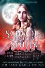 School Of Broken Souls: Academy Of Souls Book 1 By Young, Mila, Like New Used...