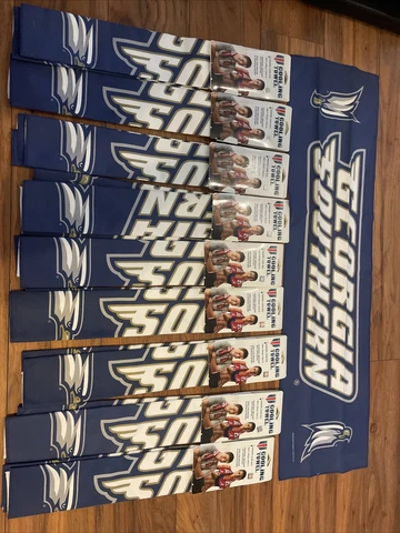 Georgia Southern University Eagles NCAA College Cooling Towel 8" x 30" NEW Cover