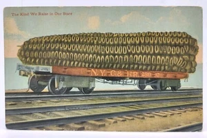 Alte AK Riesenmais auf Zugwagen, "Die Art, die wir in unserem Staat aufziehen" 1912 - Bild 1 von 2
