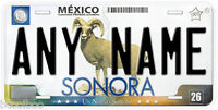 Chiapas Mexico Any Name Number Novelty Auto Car License Plate C01