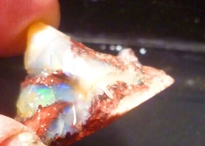 A + Virgin Valley Edelopal versteinertes Holz Nevada 18,6 Karat! - Bild 1 von 8