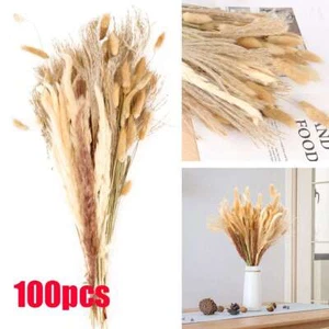100 PCS Pampas Grass Natural Dried Reed Flower Bunch Home Wedding Decor Bouquets - Picture 1 of 12