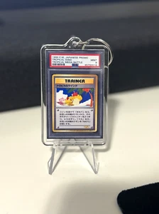 Mini Geschenk Schlüsselanhänger 1999 Pokemon japanischer tropischer Wind Mega Battle 9 NEUWERTIG 🙂 - Bild 1 von 4