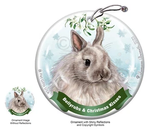 Bellyrubs & Kisses Ornament - Jersey Wooley Rabbit - Picture 1 of 1