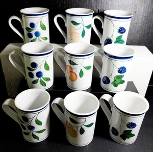 Juego de 9 tazas DANSK altas 8 OZ BAYAS 3 patrones diferentes fruta usadas en excelente estado  - Imagen 1 de 7