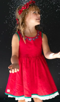 Wildflowers clothing Winter Wonderland Holly Berry Linen Dress size 14 NWT - Image 1 of 3