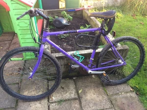 Raleigh mirage bicycle - Picture 1 of 3