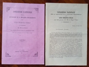 17202-OPUSCOLO + ALLEGATI SU ASILI INFANTILI RURALI, CONGRESSO DI MILANO, 1883 - Picture 1 of 2