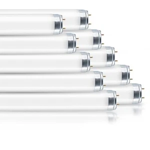 10 X OSRAM LUMILUX T8 TUBO Fluorescente BIOLUX 30W 965 Luz Diurna Fría G13 6500K - Imagen 1 de 2