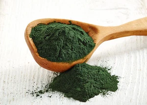 25 kg | Chlorella Pulver | Powder Alge | Mikroalgen | 100% rein - Bild 1 von 1