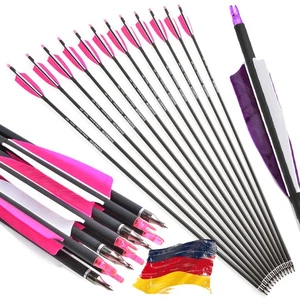 12X 30" Carbonpfeile Naturfedern SP500 Bogenschießjagd Recurvebogen Bogen Jagd - Bild 1 von 15
