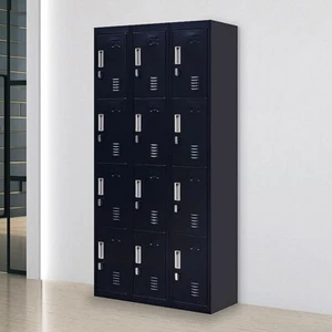 12-Door Locker for Office Gym Shed School Home Storage - Padlock-operated - Picture 1 of 7