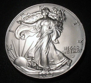 2025 American Silver Eagle ASE $1 One Troy Ounce Oz .999 Fine Bullion MS BU UNC - Picture 1 of 2