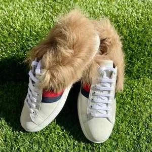 NWT! Gucci Men's Ace Fur & Gold Embroidered Bee Sneakers US Size 9 - Picture 1 of 5