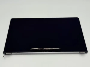 Original Display für MacBook Pro 16" 2019 A2141 Space Gray - Afbeelding 1 van 7