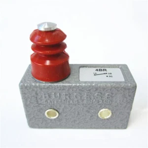 Burgess 4BR Heavy Duty Limit Micro Switch For Ice-cream Van 5x2x5cm - Picture 1 of 6